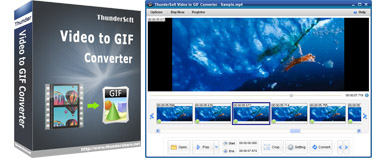 ThunderSoft Video to GIF Converter 2023 Free Download